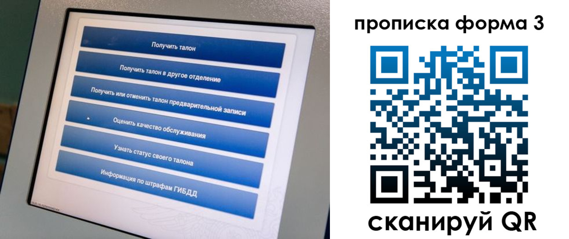 прописка в квартире в Лесозаводске